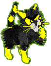 Black cat with bright yellow accents including eyes, feet, and tail stripes, holding up paw to face