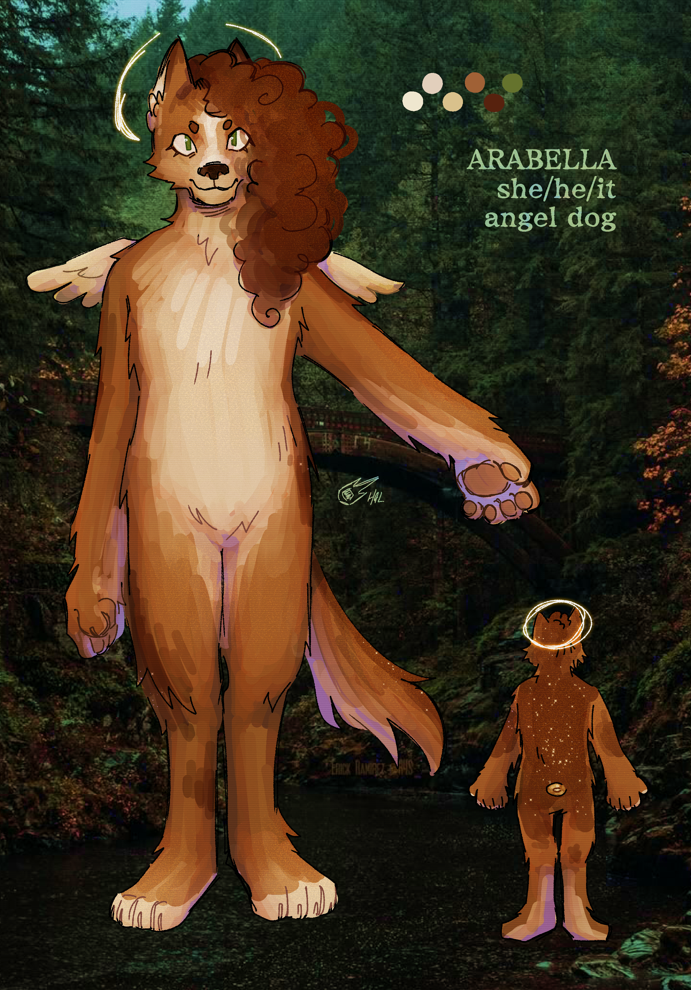 a reference sheet for an anthropomorphic brown canine with long, curly hair. she has small golden wings coming out of her back and a halo above her head. her name is arabella, she uses she/he/it pronouns, and she is an angel dog.