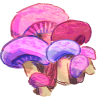 netted%20rhodotus%20smol.png