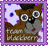 team blackberry stamp