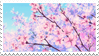 cherry blossoms stamp
