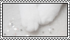 white kitten paws stamp