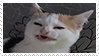 cat making a disgusted face stamp