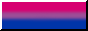 bisexual pride 88x31 button with a black & white border (blank)