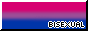 bisexual pride 88x31 button with a black & white border