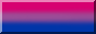bisexual pride 88x31 button with a colour border (blank)