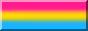 pansexual pride 88x31 button with a colour border (blank)