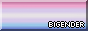 bigender pride 88x31 button with a colour border