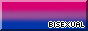 bisexual pride 88x31 button with a colour border