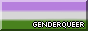 genderqueer pride 88x31 button with a colour border