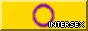 intersex pride 88x31 button with a colour border