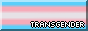 transgender pride 88x31 button with a colour border