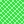 dark green doubled squares