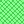 light green doubled squares
