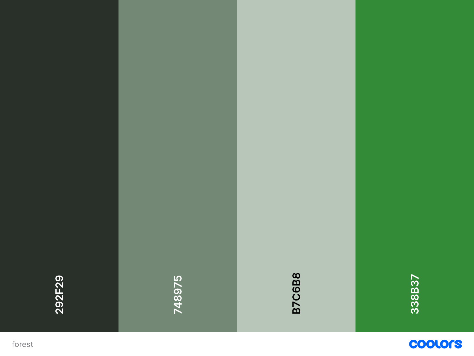 Palette-020: Forest (Demiromantic) | limbuscompany