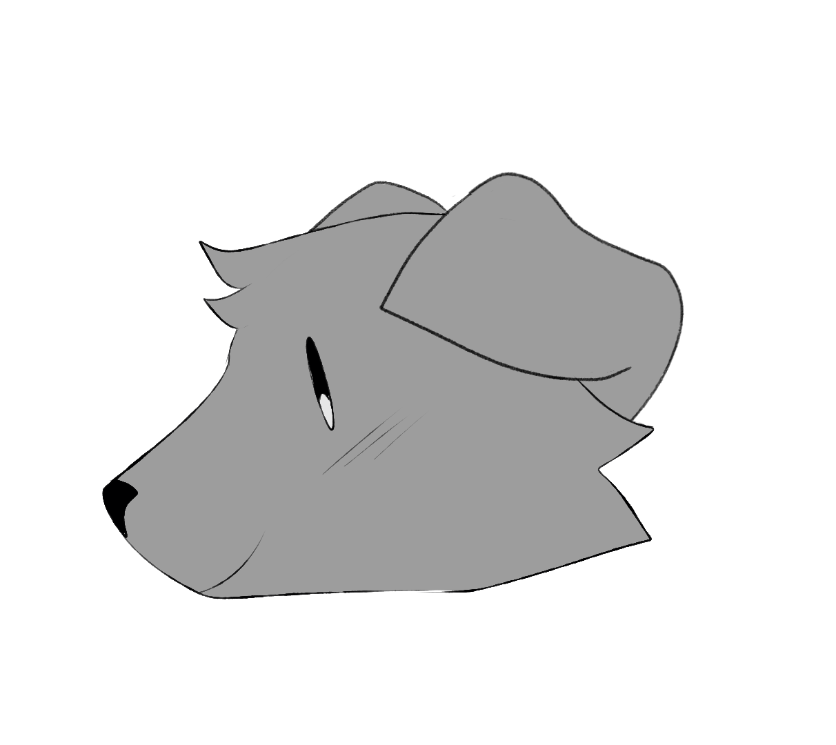 Folded Ears