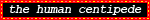 Human%20centipede