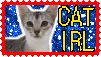 cat%20irl.gif