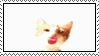 cat%20lick.gif