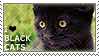 i%20love%20black%20cats.jpg