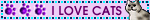 i%20love%20cats.gif