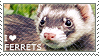i%20love%20ferrets.png