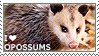 i%20love%20opossums.jpg