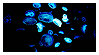 jellyfish.gif