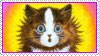 louis%20cat.jpg