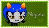 nepeta.jpg
