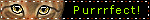 purrfect.gif