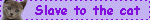 slave%20to%20the%20cat.gif