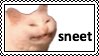 sneet.jpg