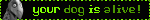 ur%20dog%20is%20alive.gif