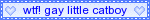 wtf%20gay%20little%20catboy.gif
