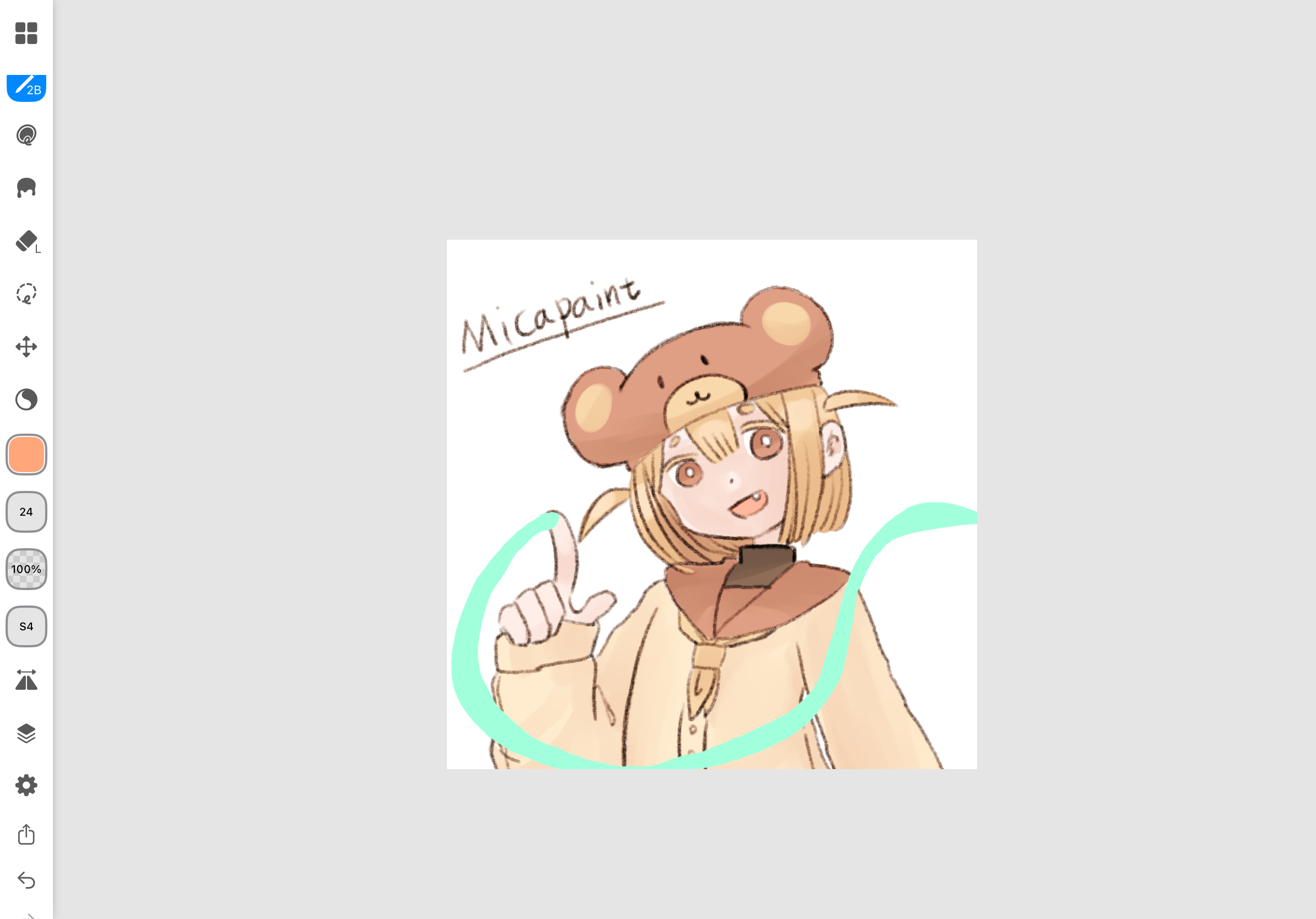 micapaint screen