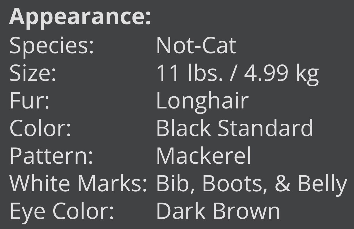 the appearance information for the above not-cat