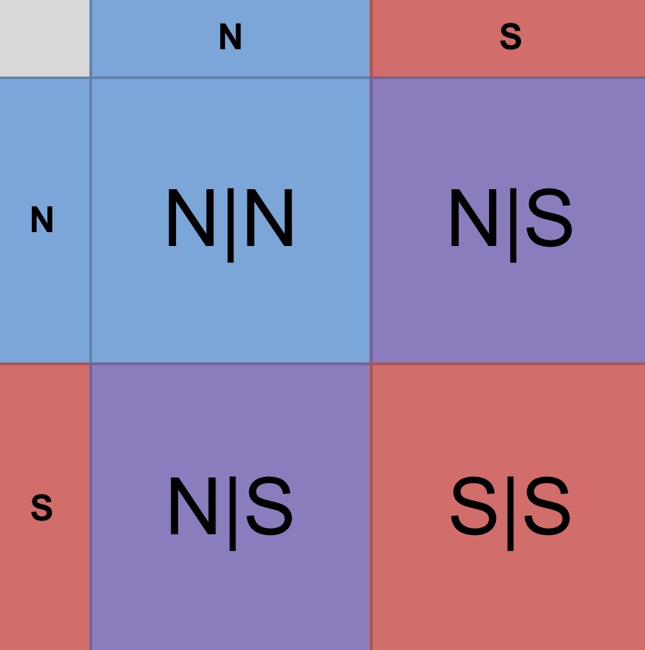 Punnet square showing NS bred with NS