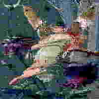 1000003960.jpeg