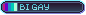 Bi Gay badge