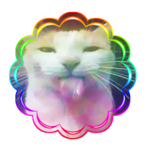 a picture of a cat known as "silly milly" with a rainbow frame