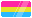 pansexual