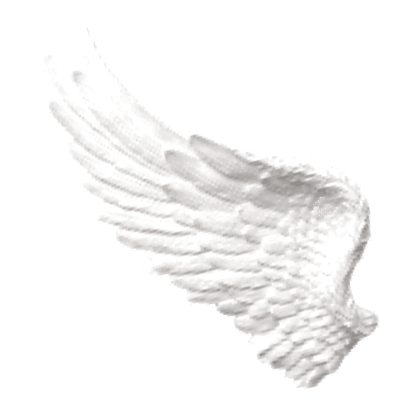 Wing