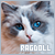 Ragdoll Fanlisting