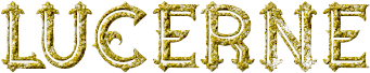 IMG_7095.png