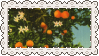 orangestamp3.png