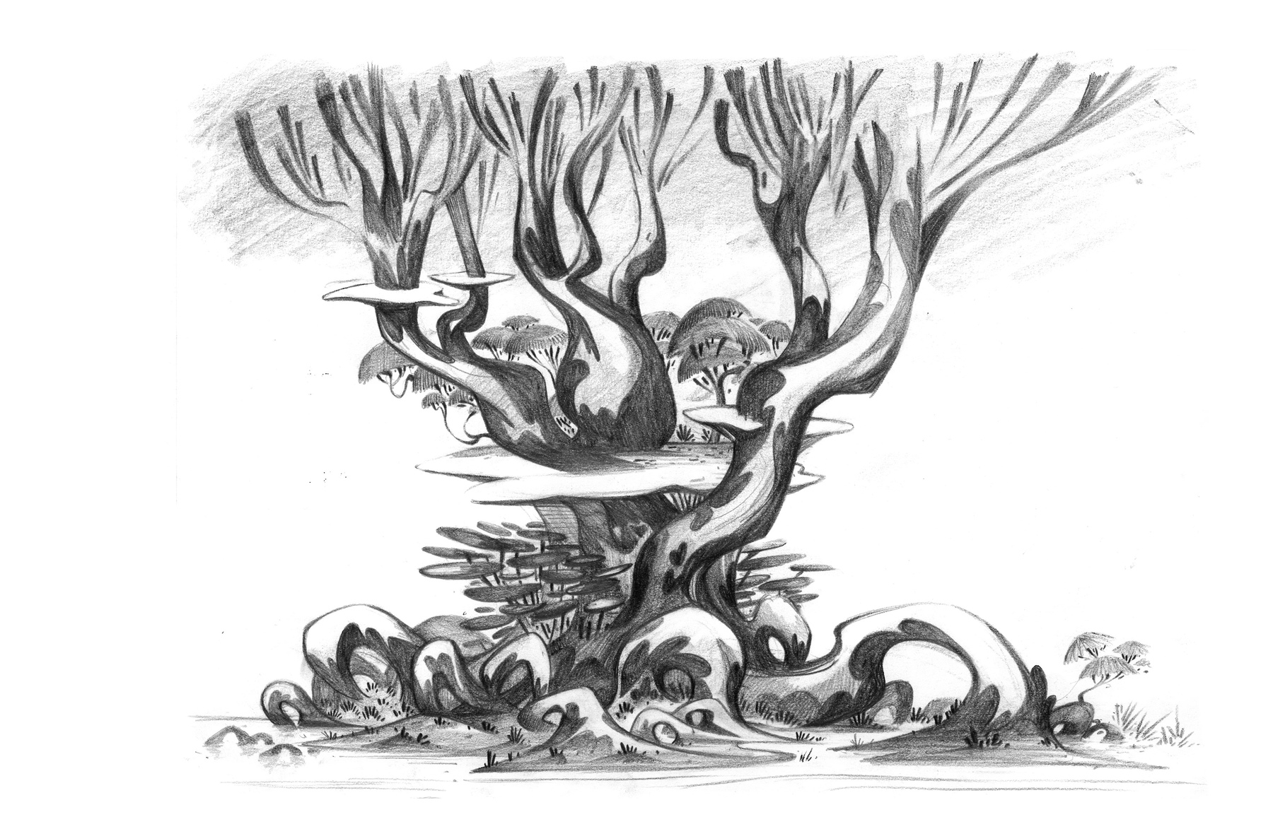 A pencil sketch of what is presumably the Big Tree.