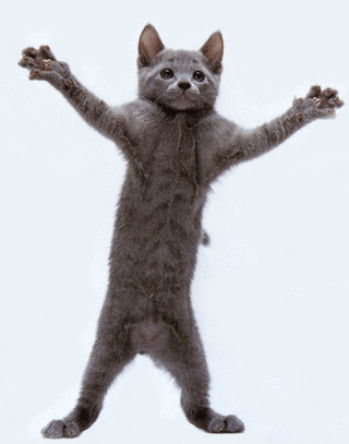 IMG_7285.gif