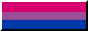 An 88x31 button of the bisexual flag