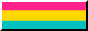 An 88x31 button of the pansexual flag